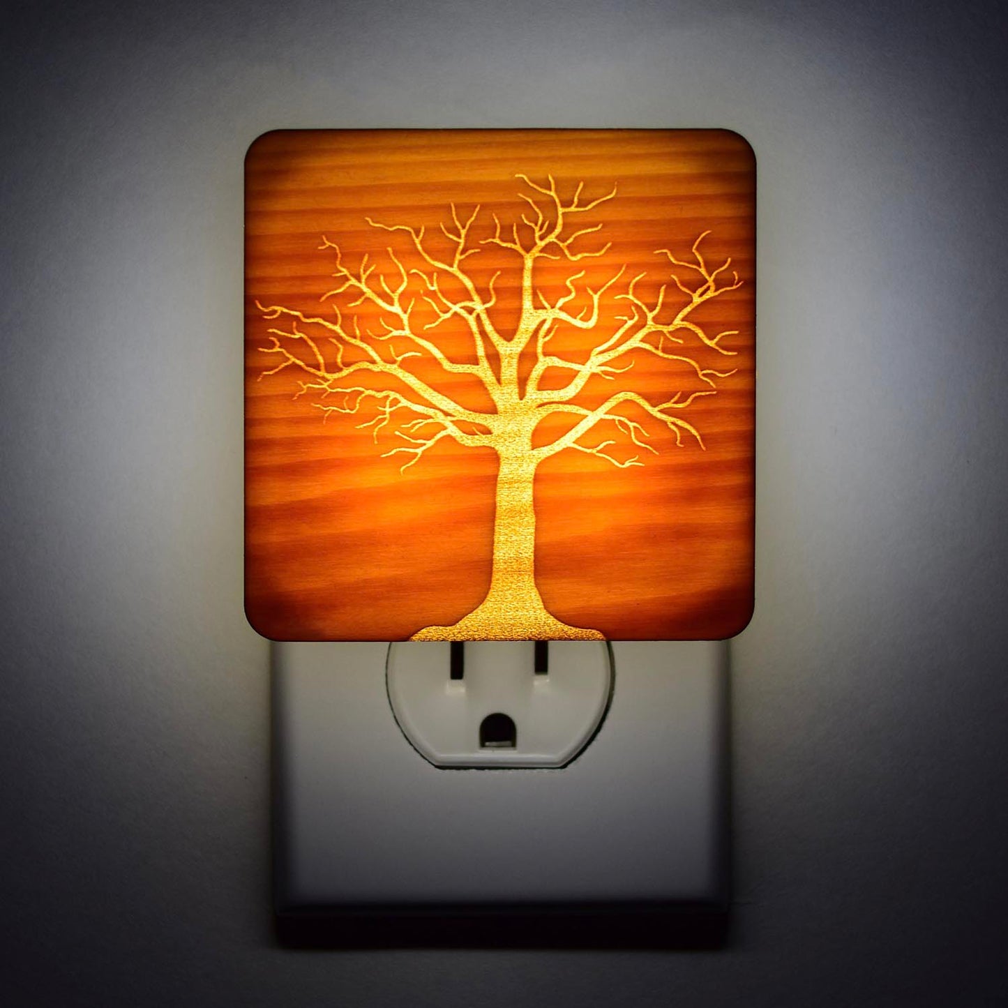 Tree night light, Bonsai, Rustic Decor, Tree of Life